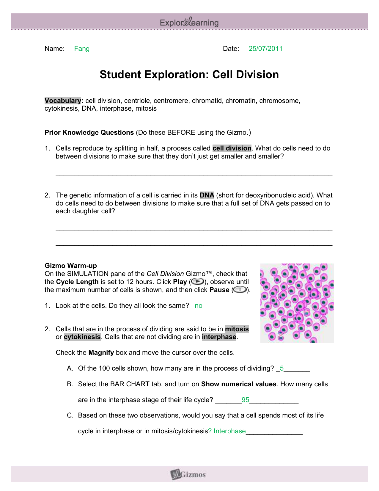 Gizmo Phase Changes Answer Key Activity C / Student ...