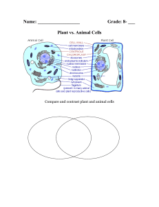 Compare and contrast plant and animal cells