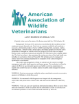 Feral Cats - American Association of Wildlife Veterinarians