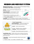 Neuron and Nervous System Review Guide
