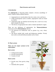 CHAPTER 31, PLANT STRUCTURE AND FUNCTION