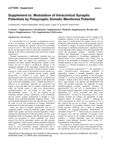 Supplement: Modulation of Intracortical Synaptic Potentials by