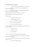 mountain building chapter 11 - NVHSEarthScienceKDudenhausen