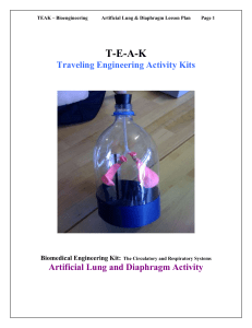 The Artifical Lung - Diaphragm Activity Lesson Plan