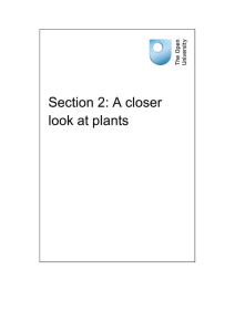 Section 2: A closer look at plants