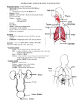 RESPIRATORY AND EXCRETORY SYSTEM REVIEW