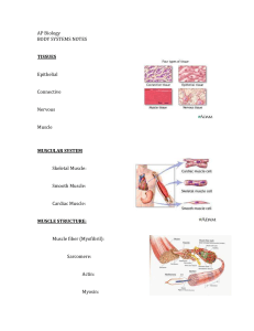 Human Systems Notes sheet