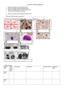 LY MPHATIC SYSTEM AND IMMUNITY REVIEW WORKSHEET