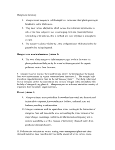 Mangroves Summary