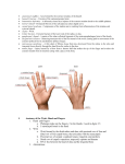 Hand,wrist,_and_elbow_notes