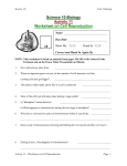 Worksheet on Cell Reproduction