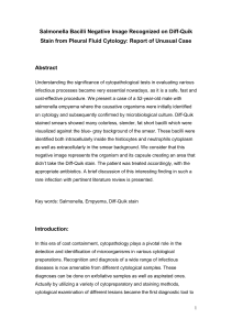 Salmonella Bacilli Negative Image Recognized on Diff