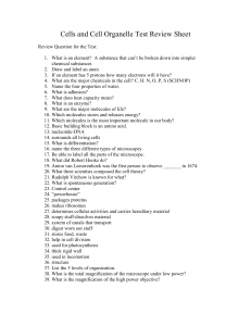 Cells and Cell Organelle Test Review Sheet