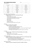 Genetics Review Sheet