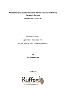 Progress Report - Rufford Small Grants
