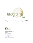 Background information map of Eragrain®-Teff