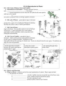 Ch 24 Reproduction in Plants