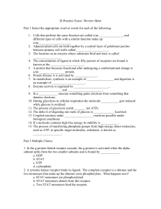 SI Practice Exam / Review Sheet