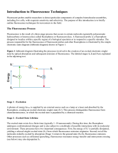 Introduction to Fluorescence Techniques