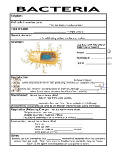 Bacteria Note Guide