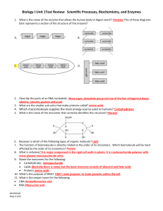 Biochemistry Test Review KEY