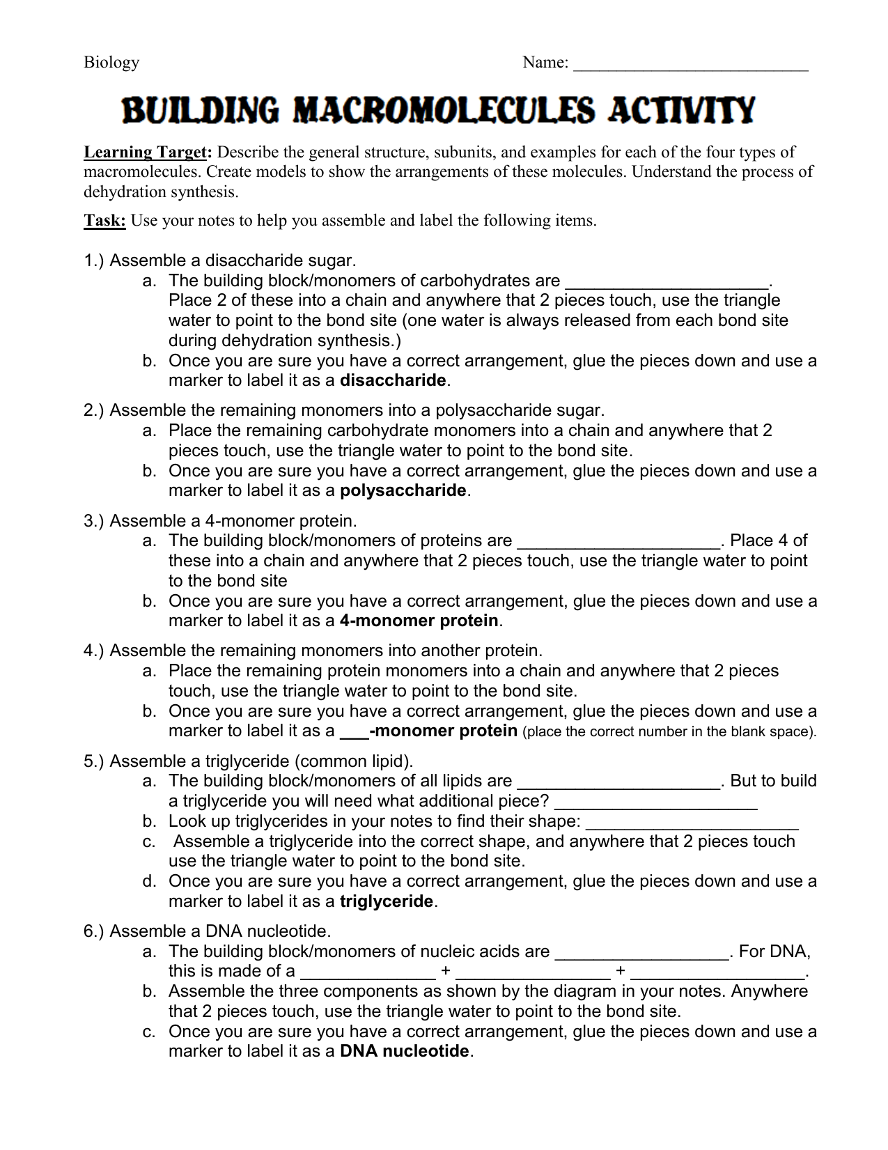 Macromolecules Chart Blank