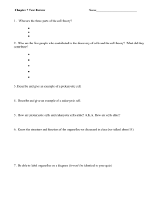 Chapter 7 test review 2015