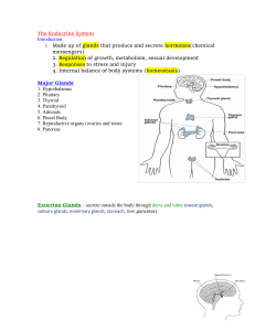 The Endocrine System