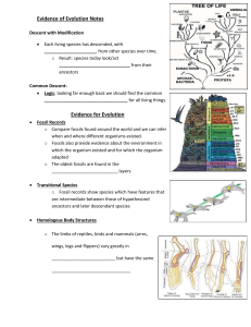 Evidence of Evolution Notes Descent with Modification Each living