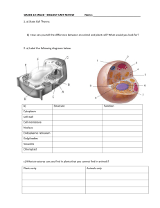 BIOLOGY EXAM REVIEW