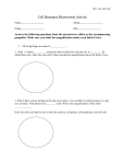 Cell Structures Microviewer Activity