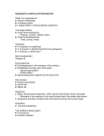 Angiosperm anatomy and development