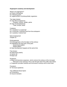 Angiosperm anatomy and development