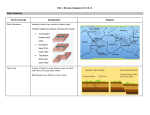 ESL 1 Review Chapters 8 9 10 11 Plate Tectonics Term/Concept