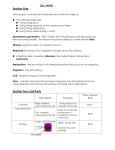 Cell Notes - gst boces