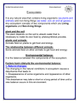 PortSaid international schools. Science department Ecosystem. It is