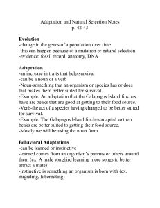 Adaptation and Natural Selection Notes