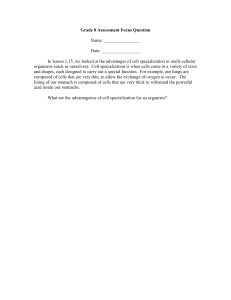 Grade 8 Assessment Focus Question cells