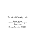 Terminal Velocity Lab