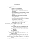 Respiratory Physiology Complete