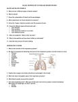 blood, respiratory system and senses review