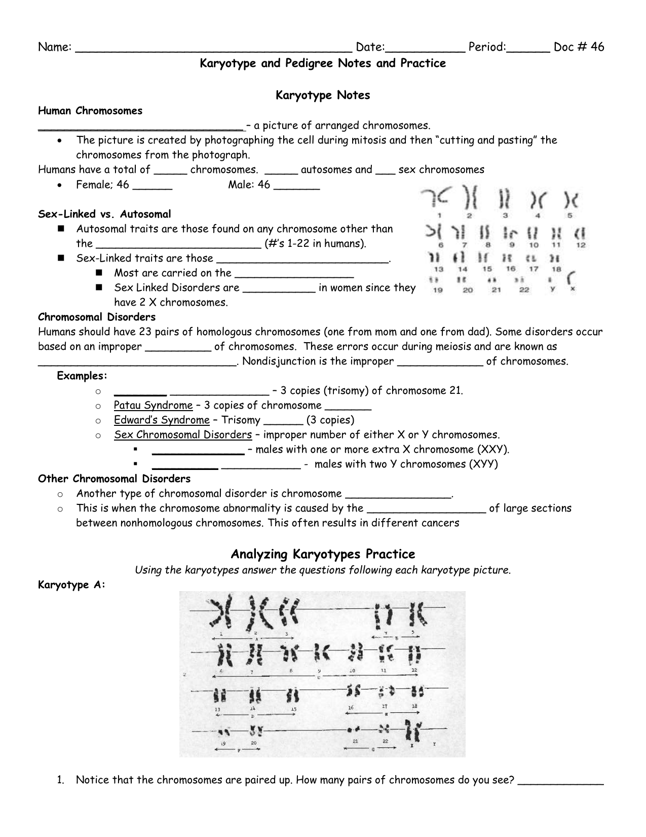 Karyotype and Pedigree Notes Inside Biology Karyotype Worksheet Answers Key