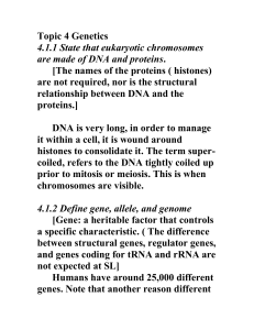 Topic 4 Genetics