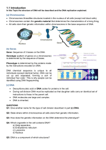 Notes 1 DNA and RNA
