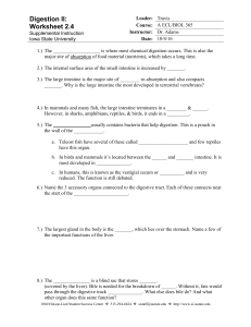 A ECL 365 Worksheet 2.4