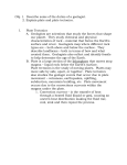 Plate Tectonics Notes