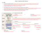 Chapter 11: Organization of DNA in Eukaryotes 11.2: mtDNA