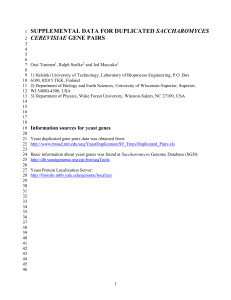 SUPPLEMENTAL DATA FOR DUPLICATED SACCHAROMYCES