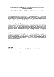 Characterization of the trans-spliced transcriptome and polycistronic