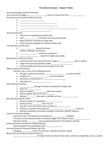 The Endocrine System – Chapter 9 Notes Second messenger